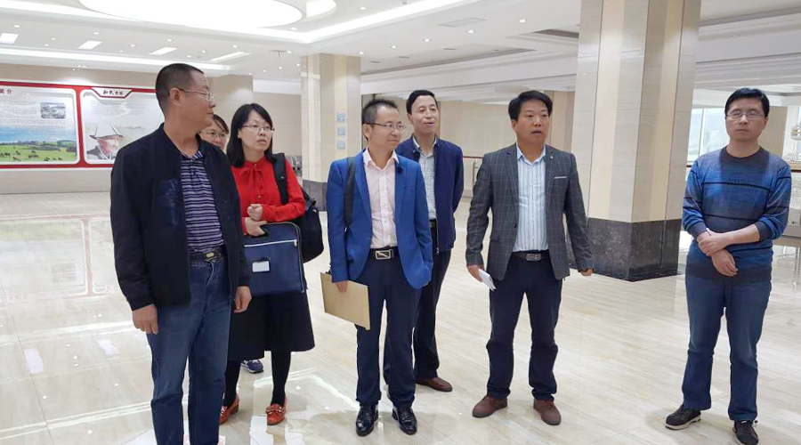 304am永利集团·(中国)有限公司官网