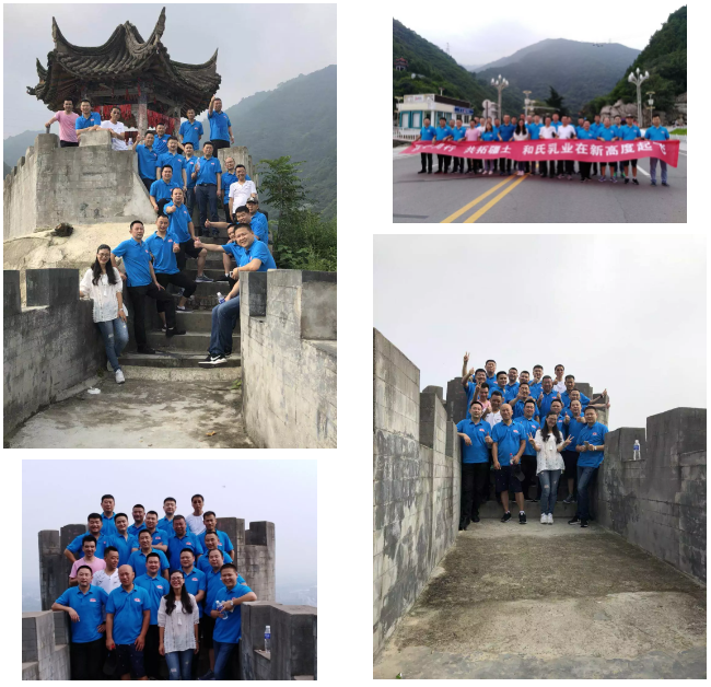 304am永利集团·(中国)有限公司官网