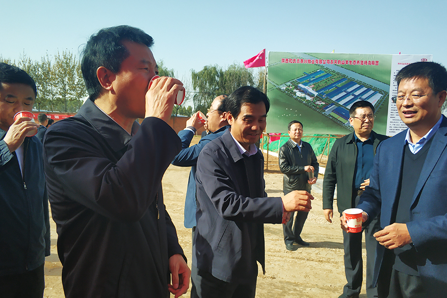 304am永利集团·(中国)有限公司官网