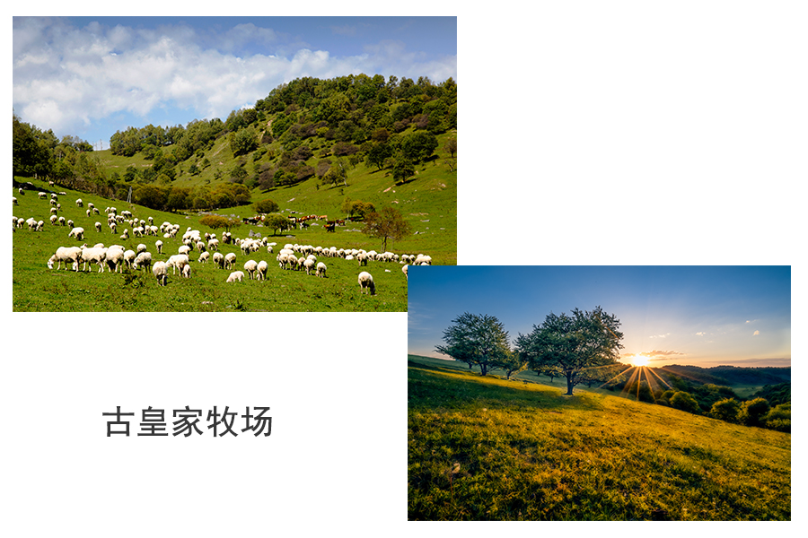 304am永利集团·(中国)有限公司官网