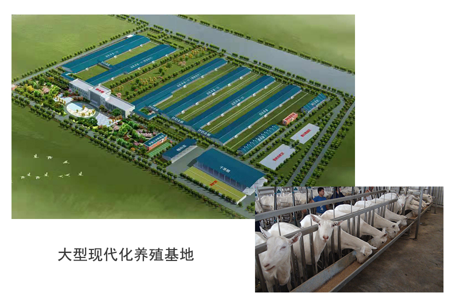 304am永利集团·(中国)有限公司官网