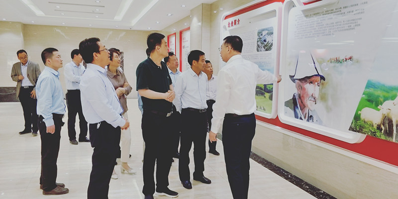 304am永利集团·(中国)有限公司官网