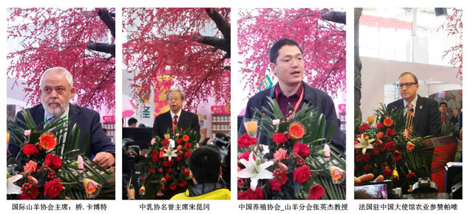 304am永利集团·(中国)有限公司官网