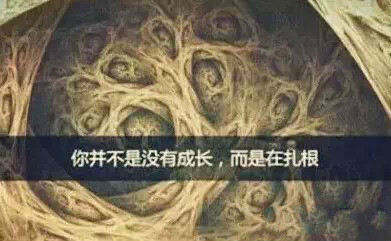304am永利集团·(中国)有限公司官网