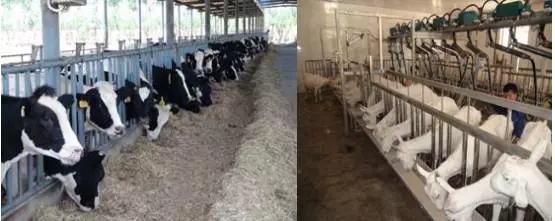 304am永利集团·(中国)有限公司官网